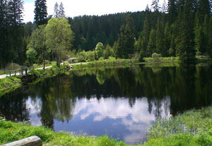 Bayerischer Wald